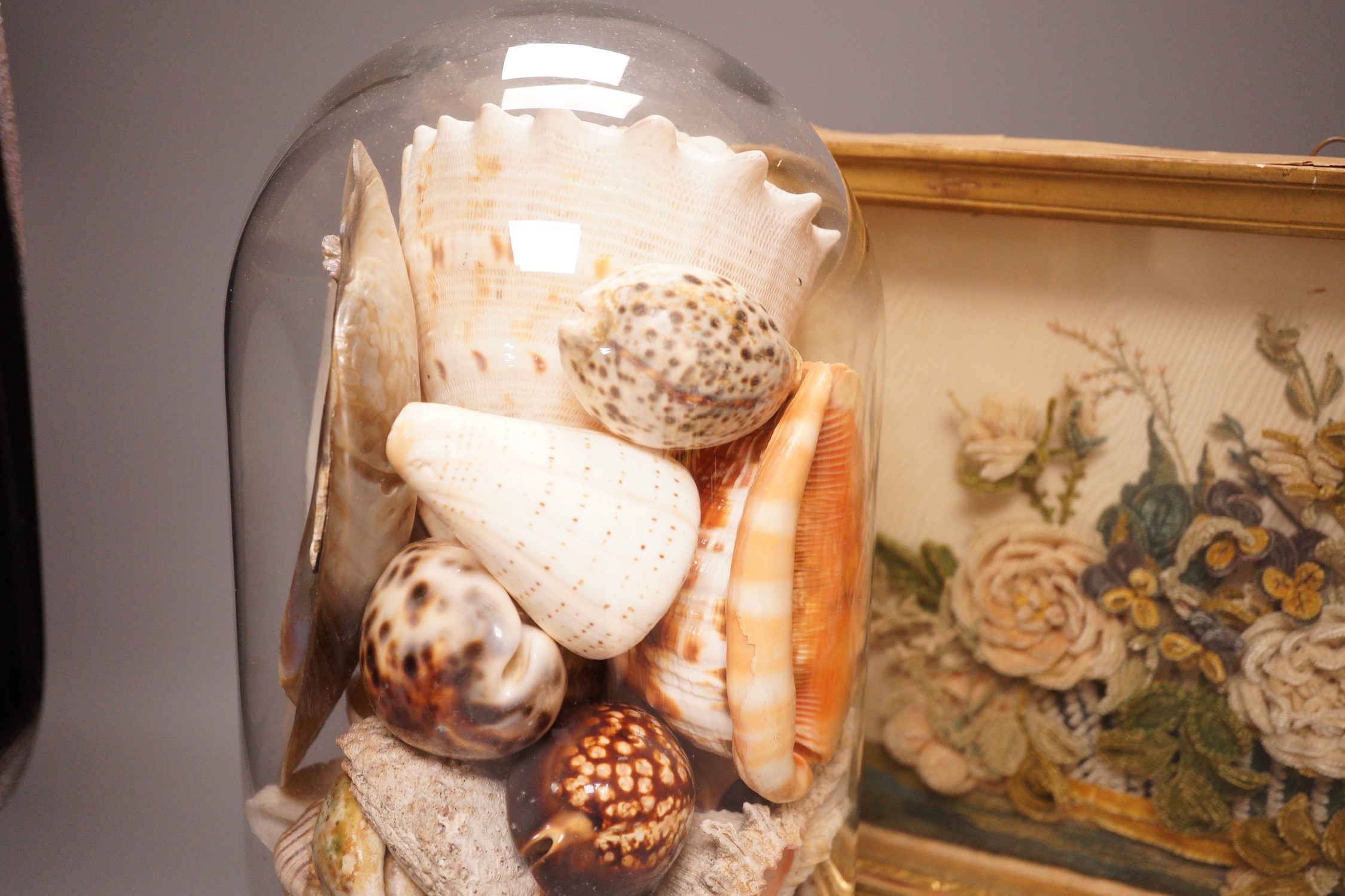 A Victorian chenille bouquet, framed and a shell arrangement, under a glass dome
